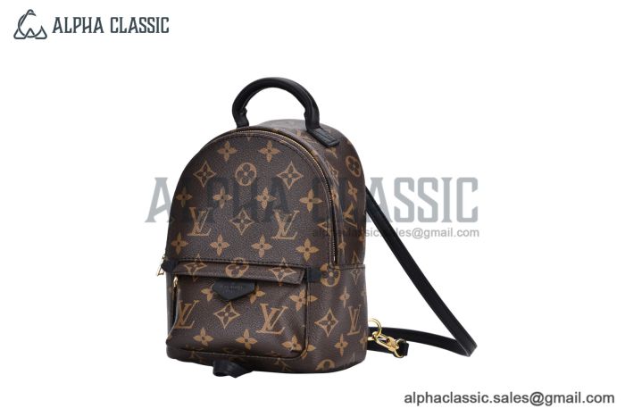 LV Palm Springs Mini Monogram Canvas Brown M44873