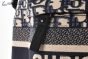 Dior Travel Backpack Beige & Blue Oblique Jacquard
