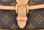 LV Nano Diane Bag Monogram Canvas Brown M83298