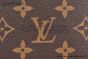 LV Dauphine Chain Wallet Monogram & Reverse Canvas M68746