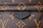 LV Palm Springs Mini Monogram Canvas Brown M44873