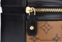 LV Cannes Bag Monogram and Reverse Canvas Brown M43986