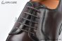 Ferragamo Smooth Brown Leather Derby
