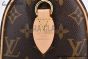 LV Speedy Bandoulière 20 Monogram Canvas Brown M46222
