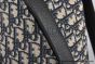 Dior Rider Backpack Beige & Black Oblique Jacquard