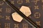 LV Multi Pochette Accessoires Monogram Canvas Brown M44813