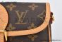 LV Nano Diane Bag Monogram Canvas Brown M83298