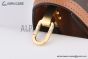 LV Dauphine MM Bag Monogram & Reverse Canvas M45958