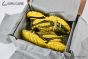 Balenciaga 3XL Extreme Laces Logo Sneaker in Yellow