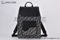 Dior Saddle Backpack Beige & Black Dior Oblique Jacquard with Black Grained Calfskin
