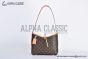 LV CarryAll PM Bag Monogram Canvas Brown M46203