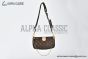 LV Multi Pochette Accessoires Monogram Canvas Brown M44813