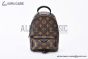 LV Palm Springs Mini Monogram Canvas Brown M44873