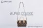 LV Speedy Bandoulière 20 Monogram Canvas Brown M46222