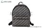 Dior Rider Backpack Beige & Black Oblique Jacquard