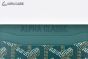 Goyard Saint-Sulpice Card Wallet Green