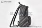 Dior Rider Backpack Beige & Black Oblique Jacquard