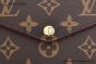 LV Félicie Pochette Bag Monogram Canvas Brown M81896