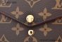 LV Félicie Pochette Bag Monogram Canvas Brown M81896