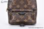 LV Palm Springs Mini Monogram Canvas Brown M44873