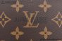 LV Félicie Pochette Bag Monogram Canvas Brown M81896