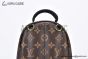 LV Palm Springs Mini Monogram Canvas Brown M44873